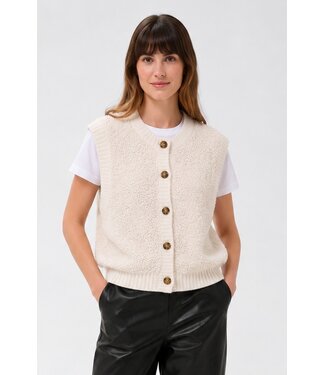 JDY JDYEIRA Life On Button Vest - Birch