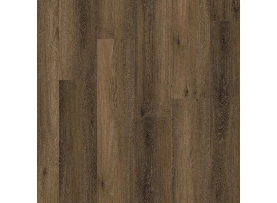 Paddington click SRC warm brown