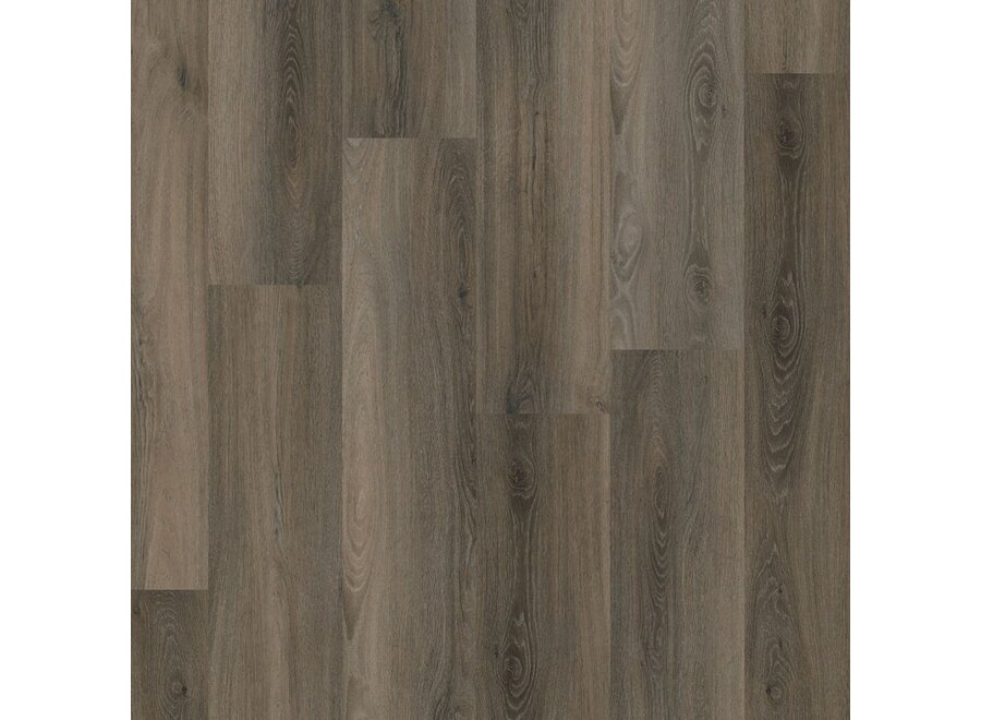 Paddington click SRC dark grey