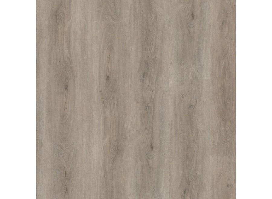 Parramatta click SRC light grey
