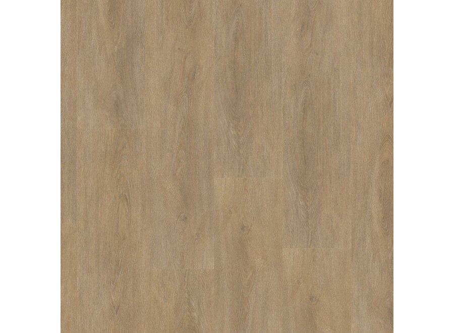 Parramatta click SRC natural oak