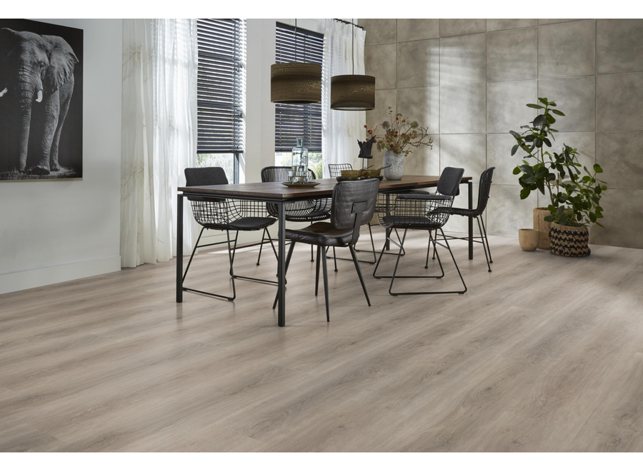 Parramatta dryback light grey