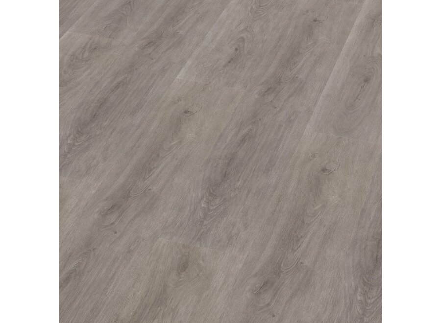 Parramatta dryback grey oak