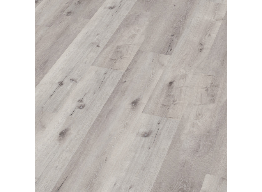 Sydney harbour dryback light grey