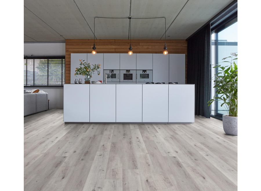 Sydney harbour dryback light grey