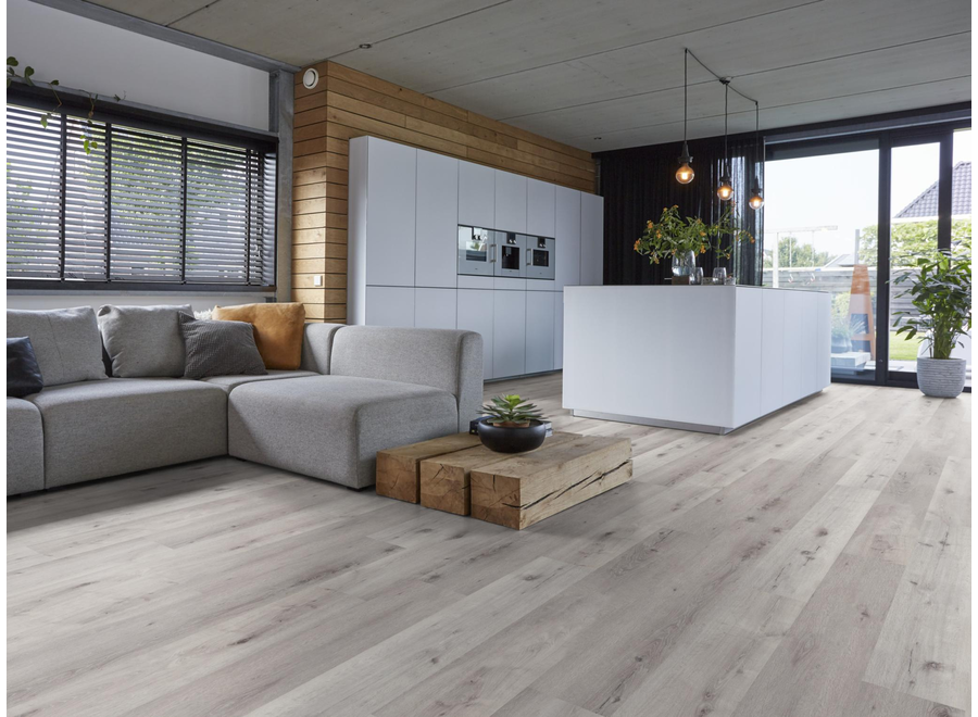 Sydney harbour dryback light grey
