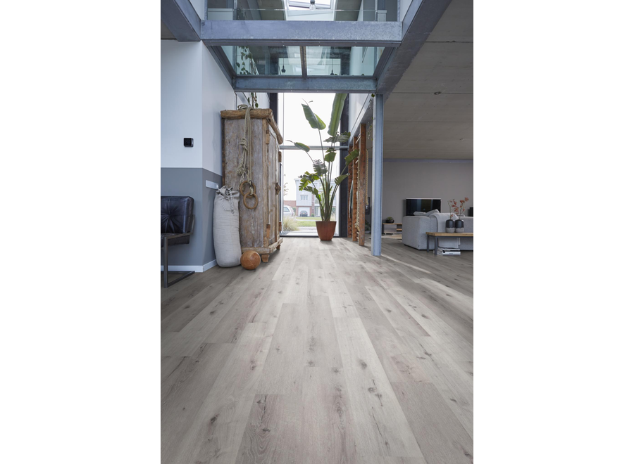 Sydney harbour dryback light grey