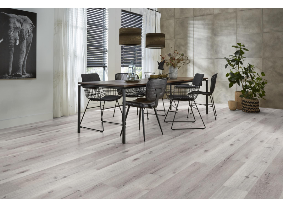 Sydney harbour dryback light grey