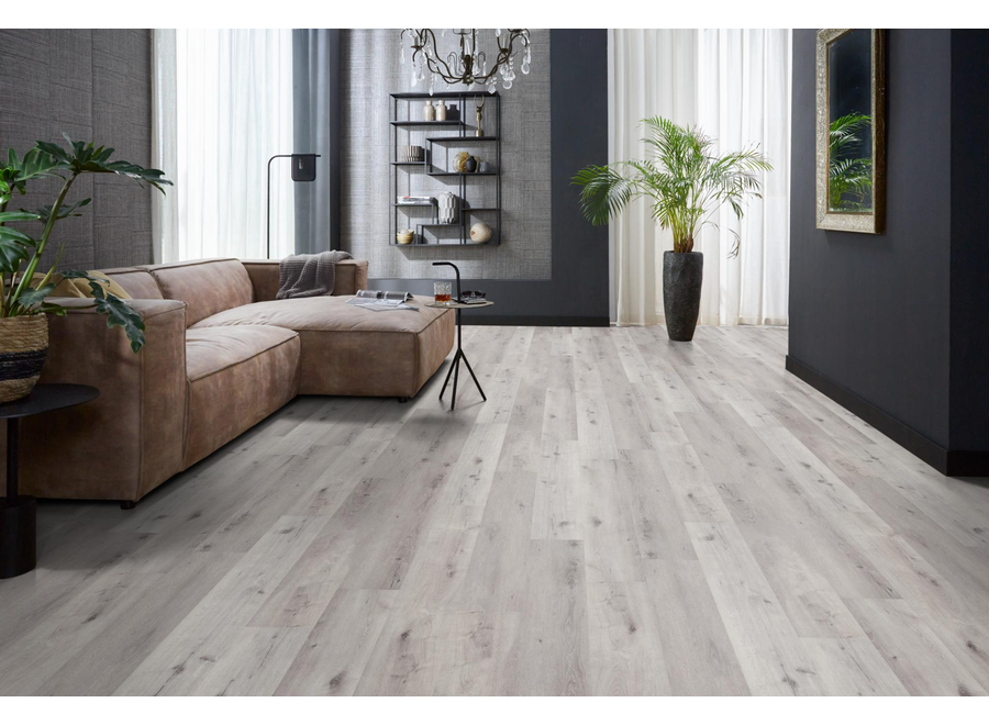 Sydney harbour dryback light grey