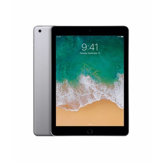 Apple iPad Gray