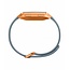 Fitbit Blue/Orange
