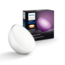 Philips Hue GO Duo