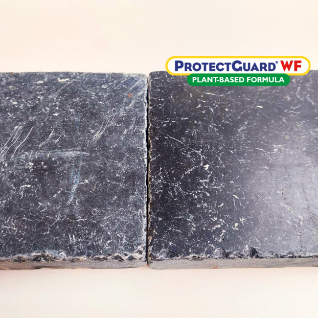 ProtectGuard WF Premium Plant-based Formula