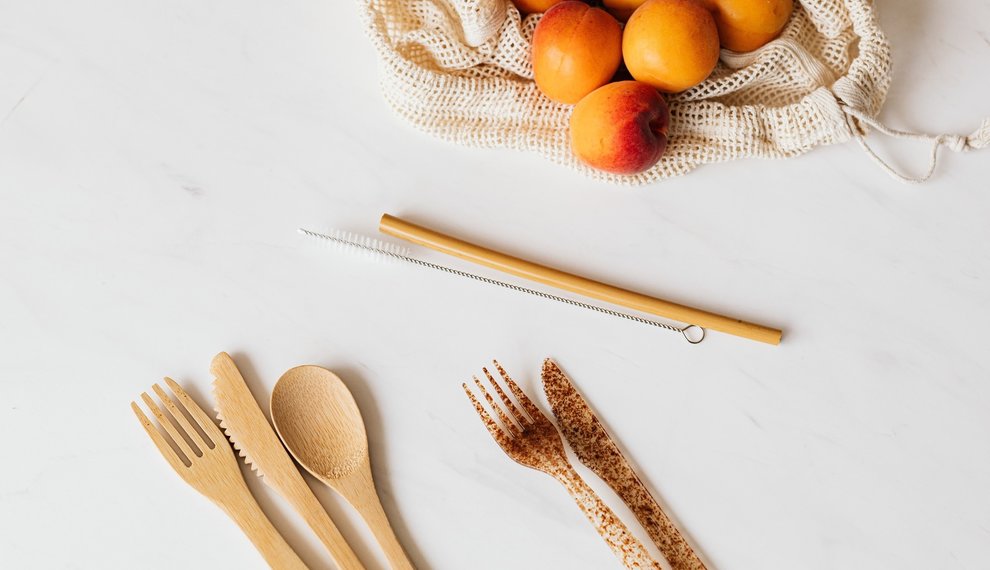 A PLASTIC FREE LIFE