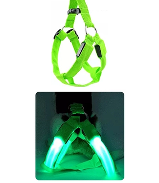 LED Hondentuigje - Groen