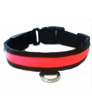 LED Hondenhalsband - Rood