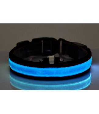 LED Hondenhalsband - Blauw