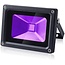 LED Bouwlamp 10 Watt - Blacklight