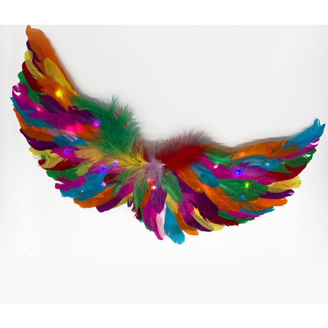 Engelen Vleugels Met Lichtjes - Mini