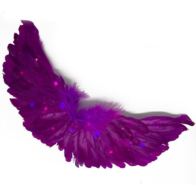 Engelen Vleugels Met Lichtjes - Mini