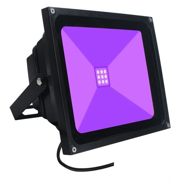 LED Bouwlamp 20 Watt - Blacklight