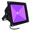 LED Bouwlamp 20 Watt - Blacklight