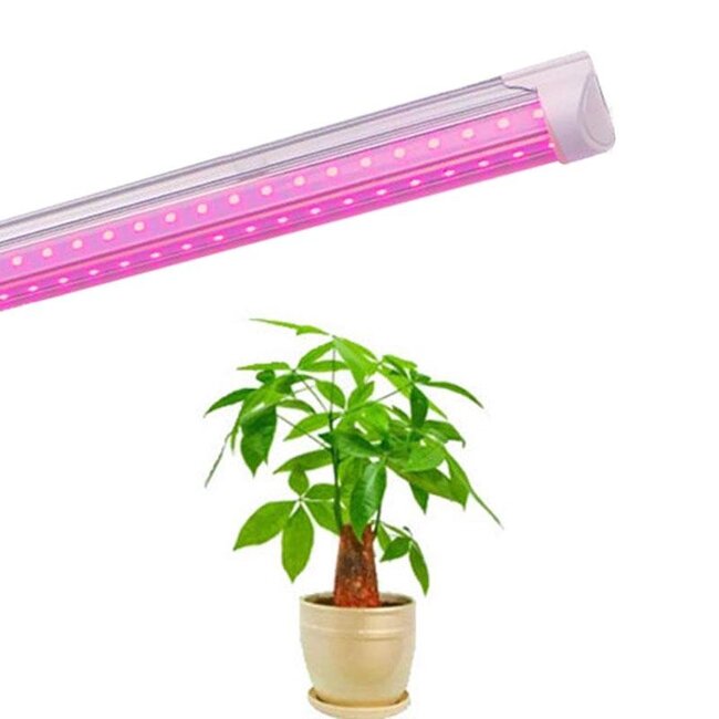 Kweeklamp TL Verlichting - TL Buis voor Plantgroei | Groeilamp