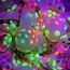 Neon Blacklight Ballonnen Set - 5 Stuks