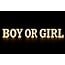 Lichtgevende Letters Boy OR GIRL - Gender Reveal - Op batterijen