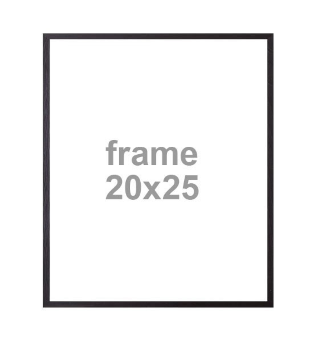 Bilderrahmen 20x25cm schwarz
