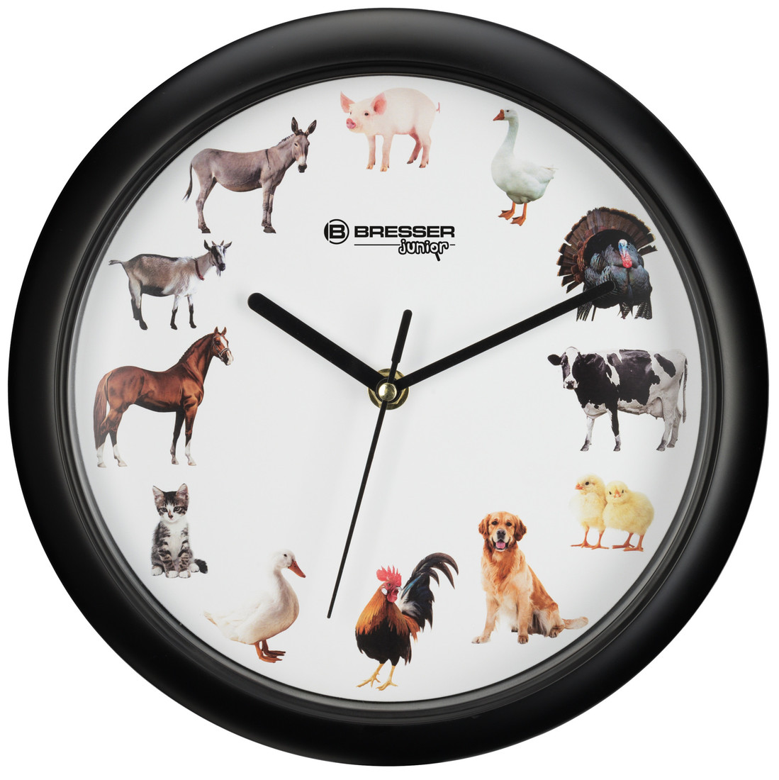 Wanduhr mit Tierstimmen