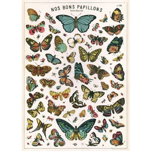 Poster «Papillons»