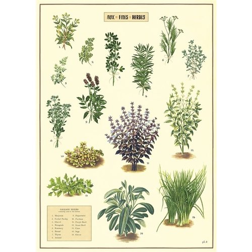 Poster «Aux Fines Herbes»