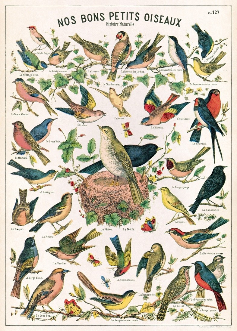 Poster «Birds»
