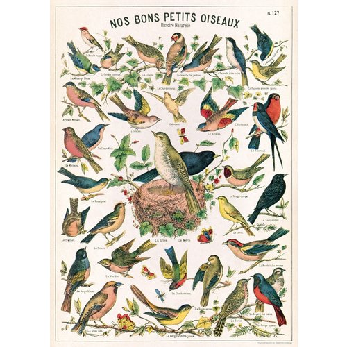 Cavallini Paper Poster «Birds»