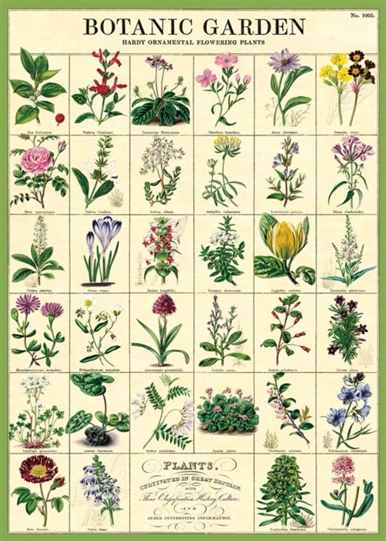 Poster «Botanic Garden»