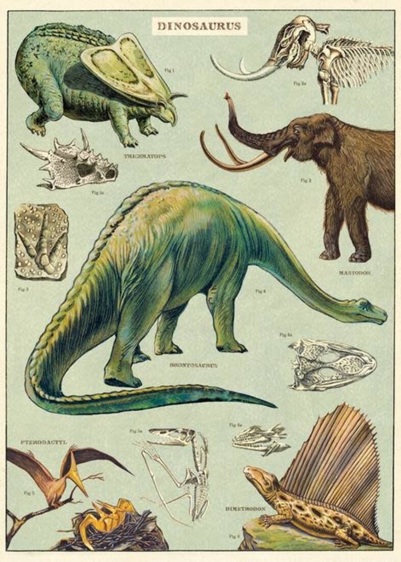 Cavallini Paper Poster «Dinosaurs»
