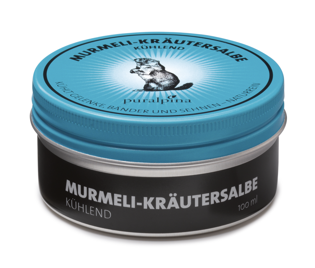 Puralpina Puralpina Murmeli Kräutersalbe kühlend 50ml