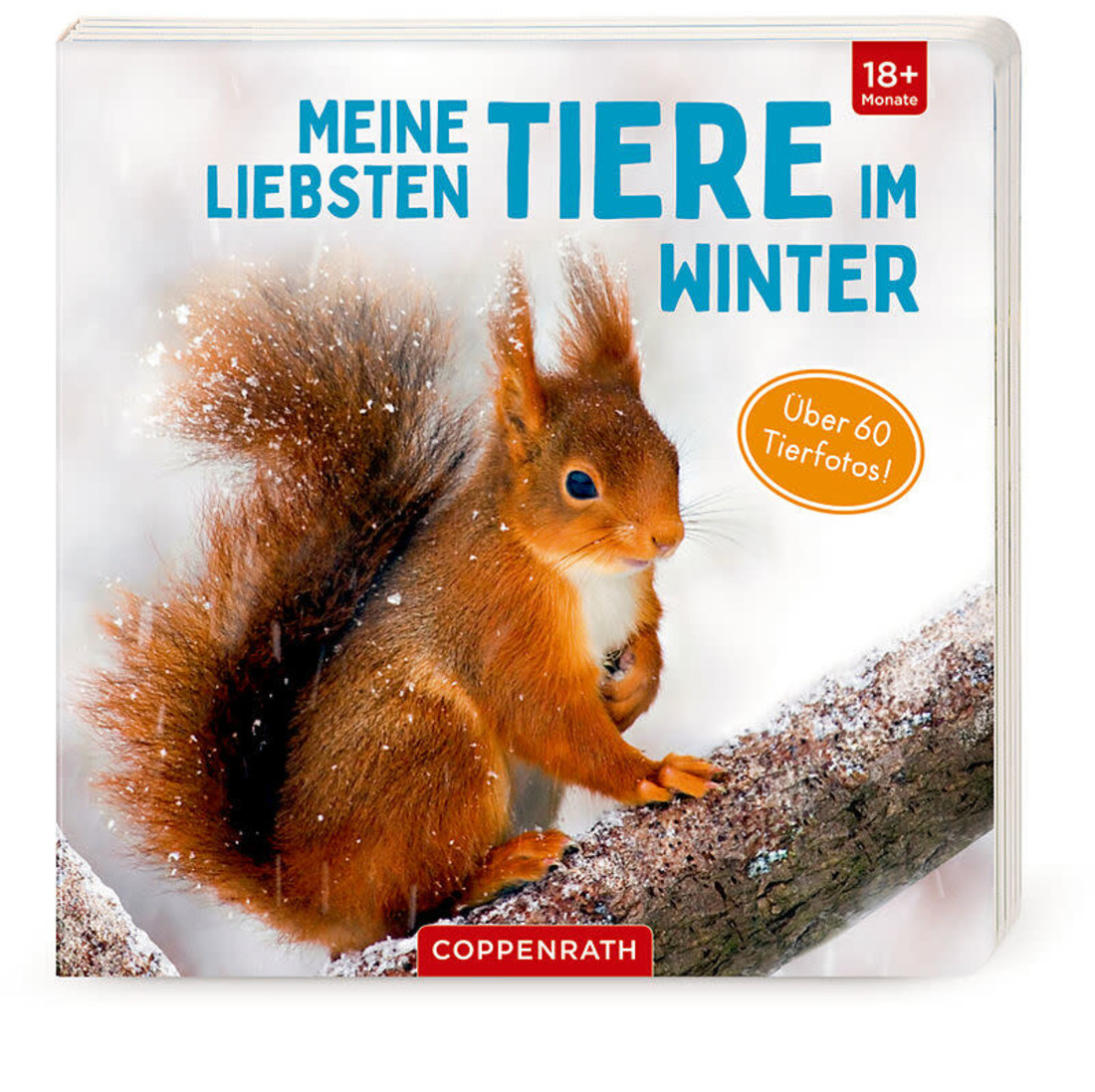 AVA Mein liebsten Tiere im Winter