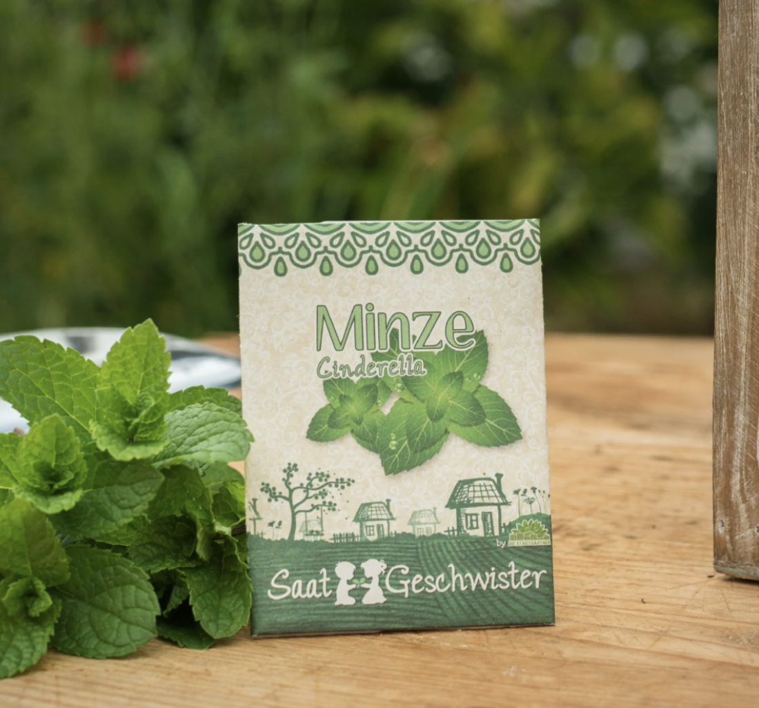 Saatgut Minze