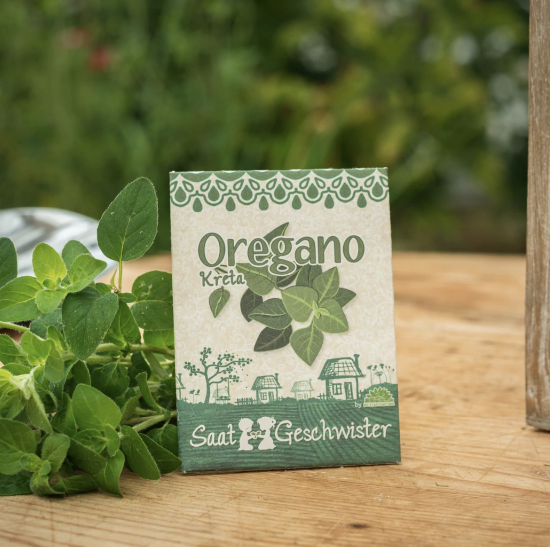 Saatgut Oregano
