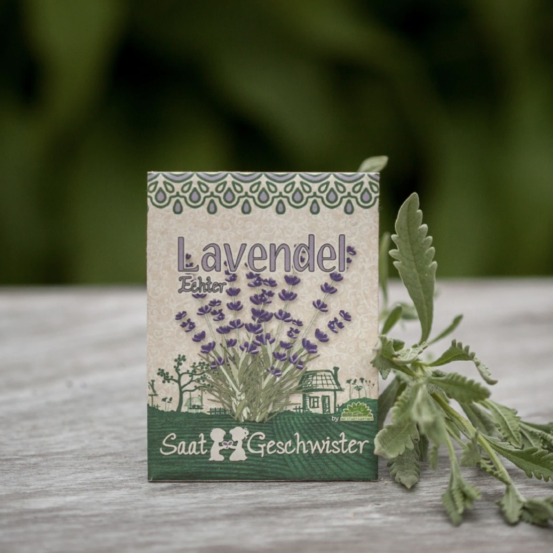 Saatgut Lavendel