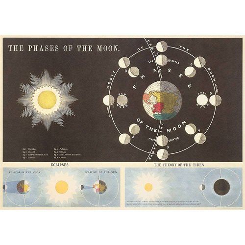 Cavallini Paper Poster «Moon Phases»