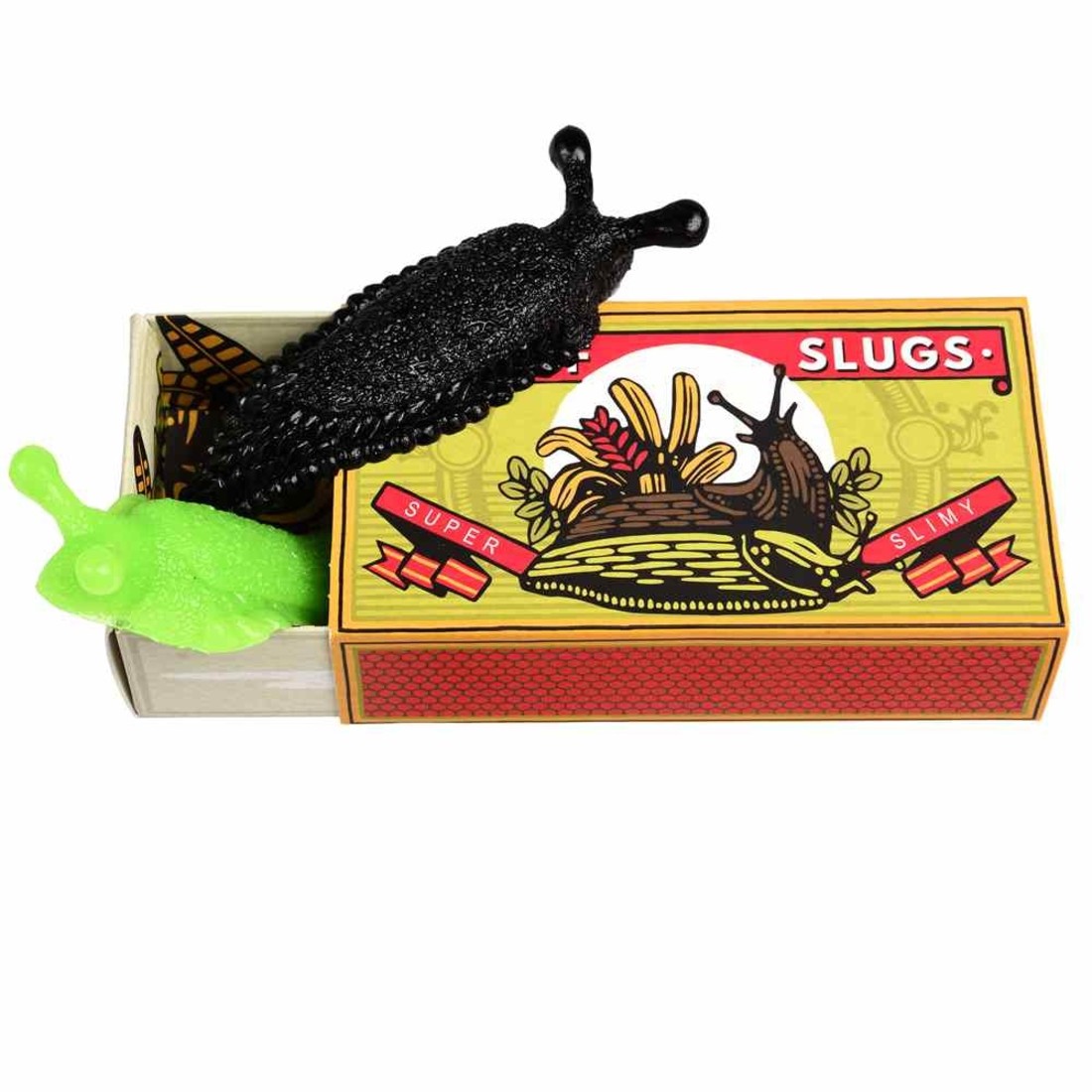 Rex International Nachtschnecken Box