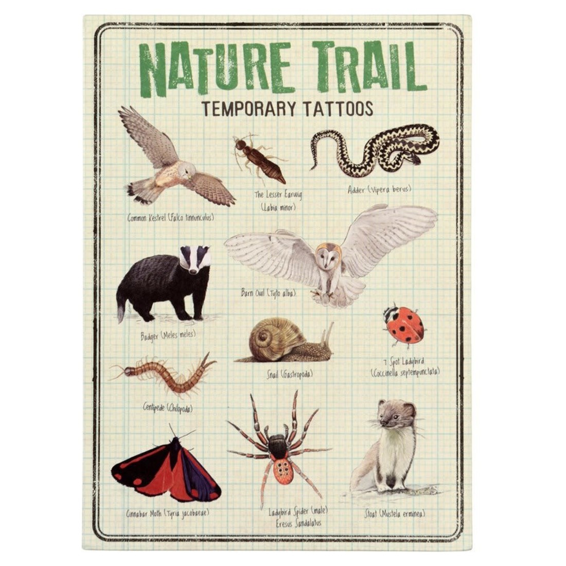 Rex International Tattoos «Nature Trail»