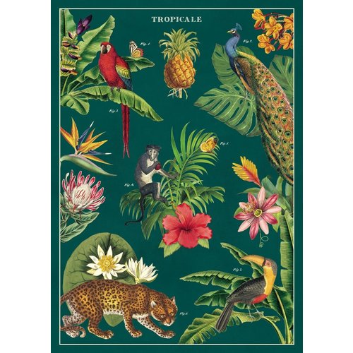 Cavallini Paper Poster «Tropicale»