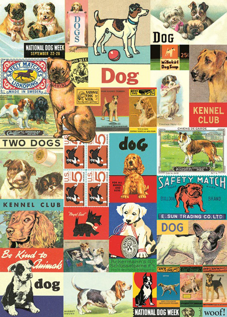 Poster «Dogs»