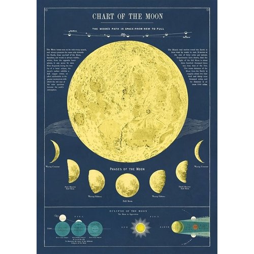 Poster «Moon Phases»