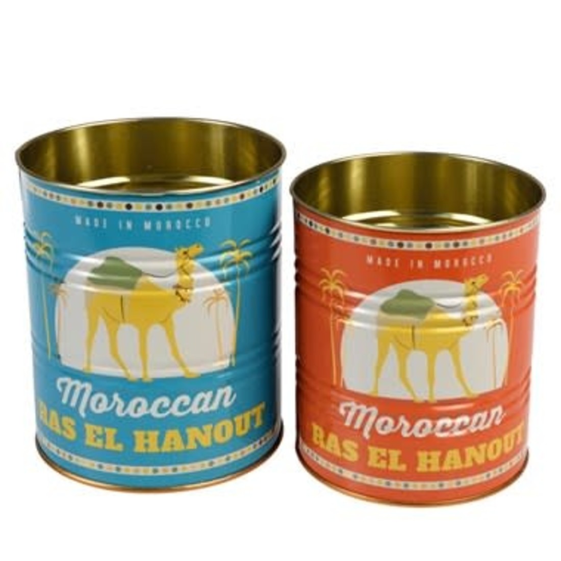 Rex International Dosen «Morrocan» L