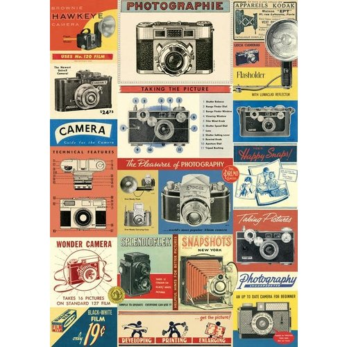 Cavallini Paper Poster «Vintage Cameras»